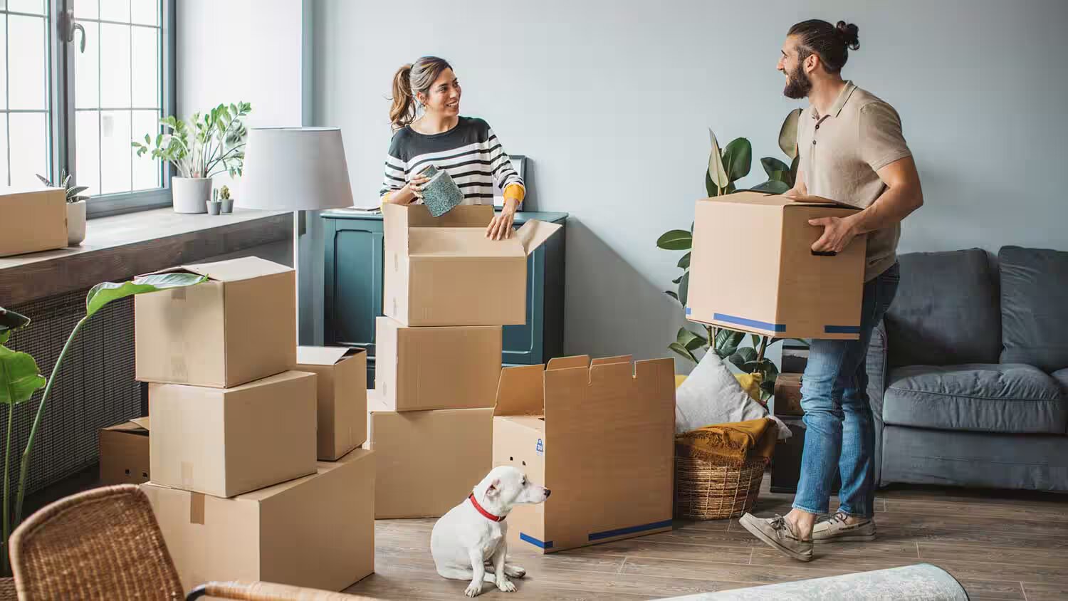 Moving Company Sales Jobs: A Dynamic Career Path