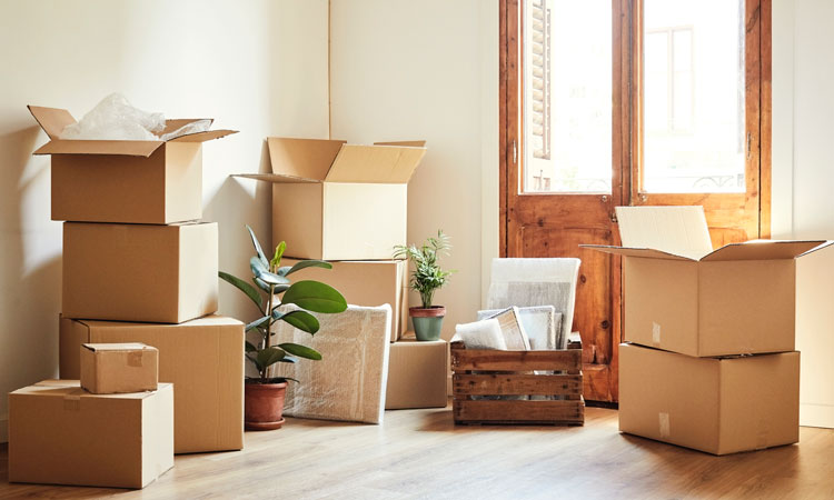 The Essential Guide to Choosing the Right Moving Service